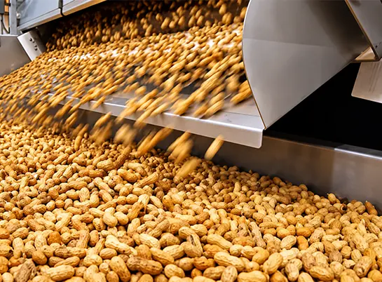 Groundnut oil processing line