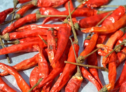 Chilli drying, powder and flakes processing line