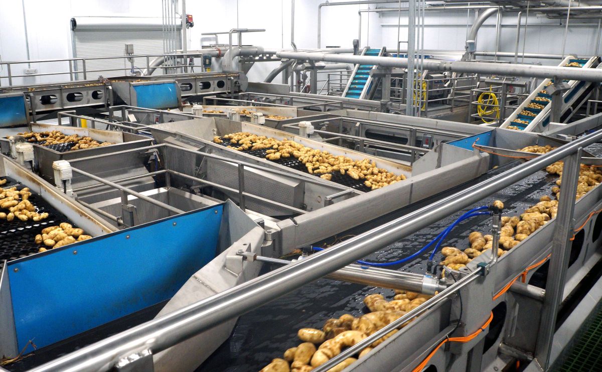 Potato Processing Plant