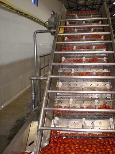 Tomato Processing Machinery