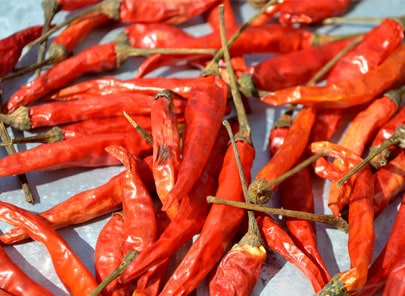 Quality Chilli Processing Machinery in India.