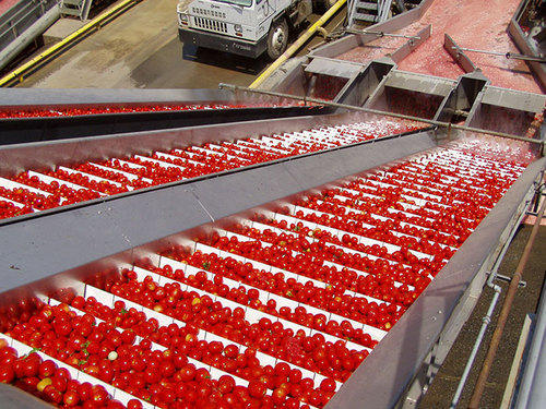 Tomato Processing Plant